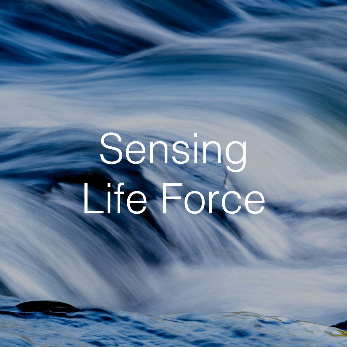 Sensing Life Force Le Sacré Corps