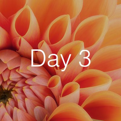 day3