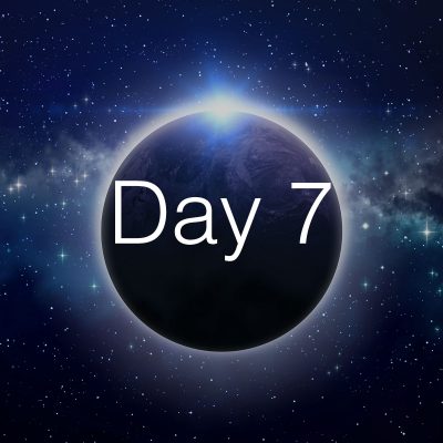 day7